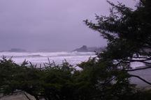 water_2310.jpg